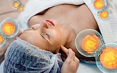 Nutrición con células madre vegetales